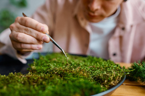 Experienced male florist working with tweezers on circle moss plant panel closeup - Foto, immagini