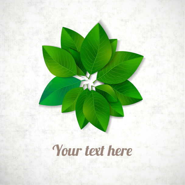 Circle of green leaves - Vettoriali, immagini