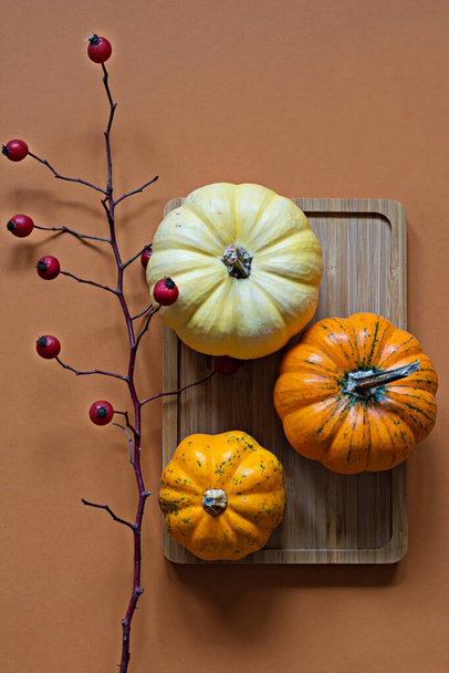 Decorative pumpkins with a rosehip branch on a wooden tray on an orange (terracotta) background. Elements of festive decor in the house. Autumn mood in anticipation of the holiday. Top view. - Photo, Image