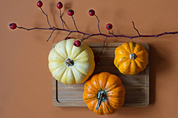 Decorative pumpkins with a rosehip branch on a wooden tray on an orange (terracotta) background. Elements of festive decor in the house. Autumn mood in anticipation of the holiday. Top view. - Foto, immagini