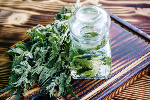 Leonurus cardiaca, motherwort, throw-wort, lion's ear, lion's tail medicinal plant . Transparent glass jar with condemned herbal. Ingredient for cosmetology and non-traditional medicine. - Foto, Imagen