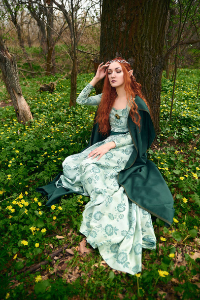 Cosplay dziewczyna elf w lesie - Zdjęcie, obraz