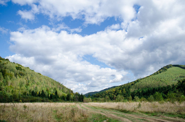 Krásné svahy Karpat na Ukrajině, poseté lesy a holými údolími na místě odlesňování. - Fotografie, Obrázek