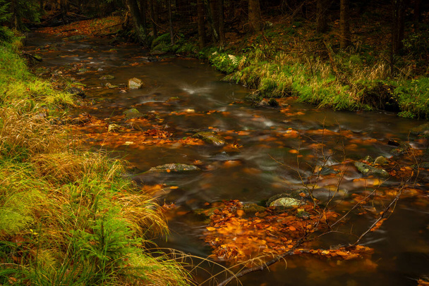 Hamerský potok s vodopády v Lužických horách v barvě podzimní deštivý den - Fotografie, Obrázek