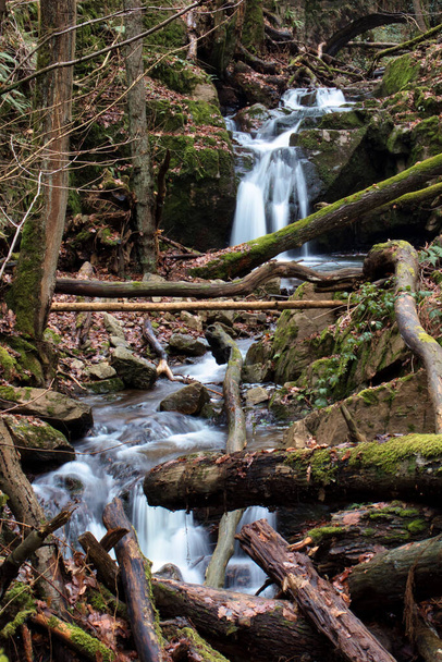 Маленький водопад в ручье, заполненный упавшими деревьями в Бингенском лесу в зимний день в Германии. - Фото, изображение