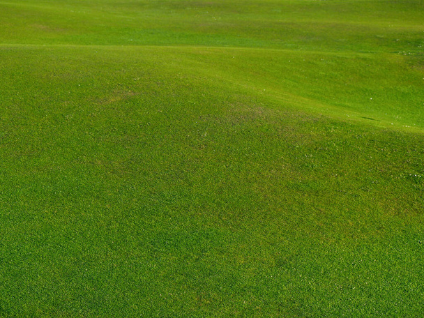 Fondo corto verde ondulado hierba - Foto, imagen