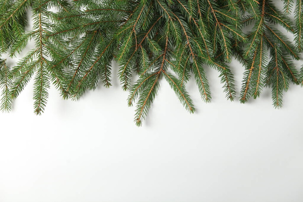 Holidays greeting card or banner composition with pine tree branches. Merry Christmas background and Happy New Year 2023. - Photo, Image