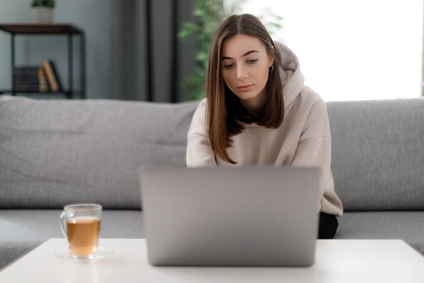 Attractive freelancer looking on screen while using portable laptop. Caucasian woman in beige hoodie sitting in living room and drinking tea during distance work. - Photo, Image