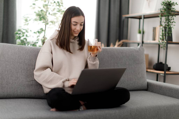 Pleasant young woman student in stylish beige hoodie using modern laptop for education. Attractive caucasian brunette holding cup of tea and typing while sitting on couch. - Photo, image