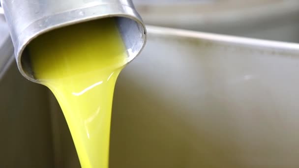 Der Prozess der Olivenreinigung und -entlaubung in einer modernen italienischen Ölmühle. Ölförderung. Frisches natives Olivenöl extra - Filmmaterial, Video