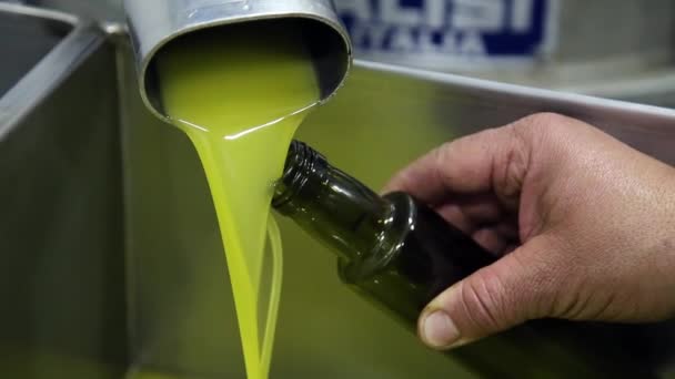 Der Prozess der Olivenreinigung und -entlaubung in einer modernen italienischen Ölmühle. Ölförderung. Frisches natives Olivenöl extra - Filmmaterial, Video
