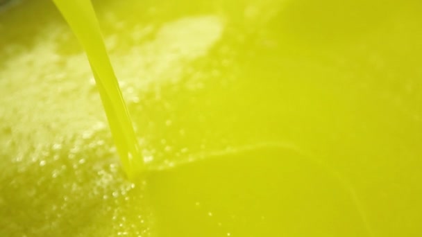 Proces czyszczenia i defoliacji oliwek w nowoczesnej włoskiej olejarni. Produkcja ropy. Oliwa z oliwek z pierwszego tłoczenia - Materiał filmowy, wideo