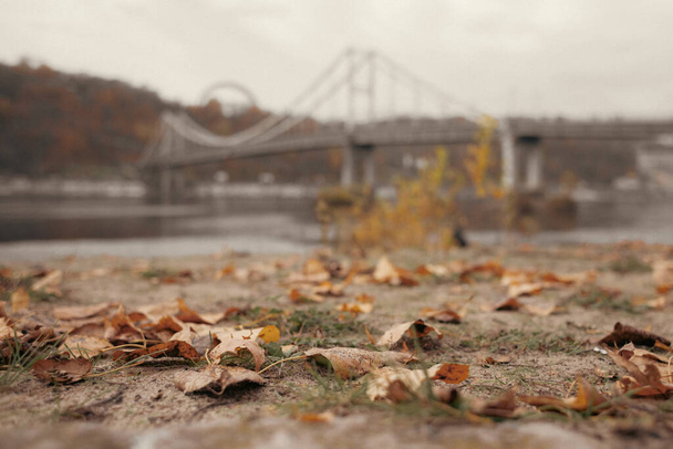 Сухе опале листя на тлі річкового пейзажу восени. Спокійний осінній пейзаж. Краса природи. Осінь на березі річки
. - Фото, зображення