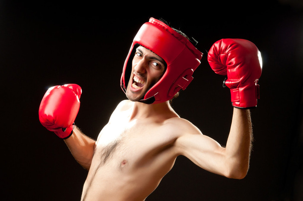 Boxer engraçado isolado em branco - Foto, Imagem