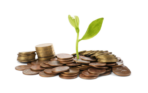 Pile of coins and green plant on white background. Investment concept - Foto, immagini
