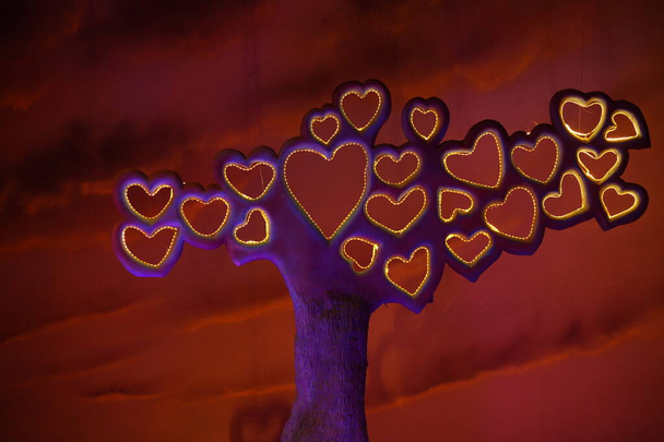 Símbolos de amor na árvore - Foto, Imagem
