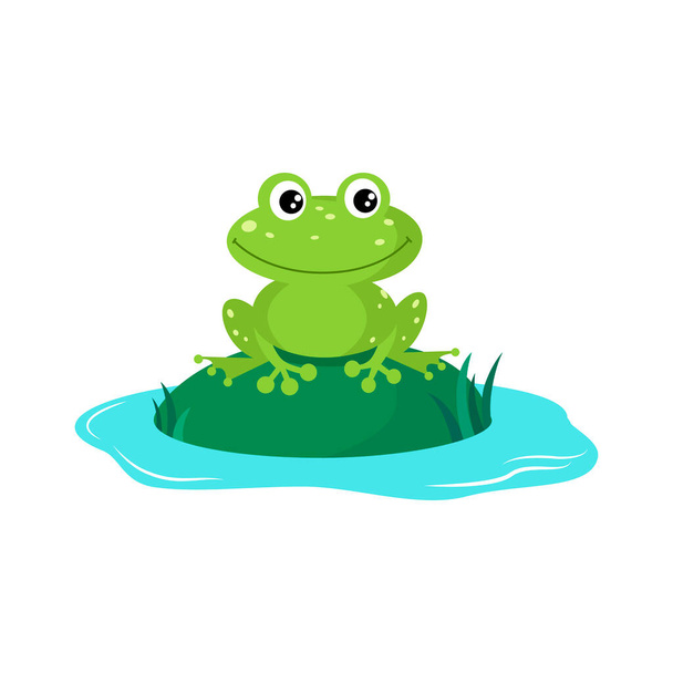 Green frog on hummock in the lake. Vector illustration in the flat style of cartoon character. - Vector, Imagen