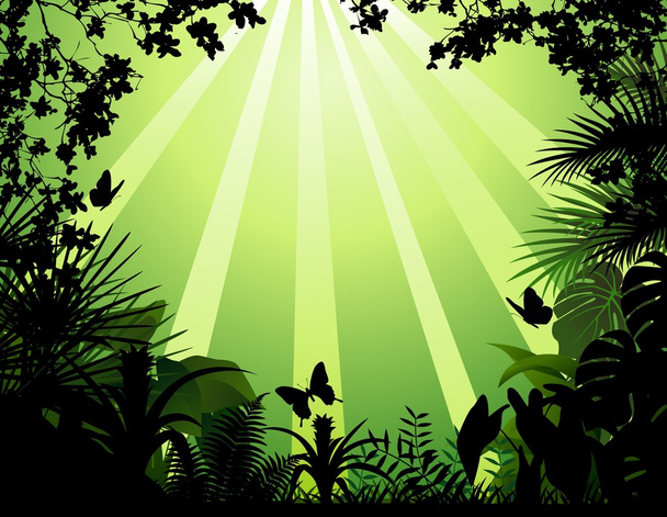 Тропічний ліс фону
 - Вектор, зображення