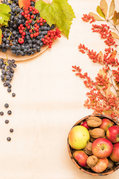 Podzimní složení ovoce, bobulí a ořechů na lehkém podkladu. Kvalitní fotografie - Fotografie, Obrázek