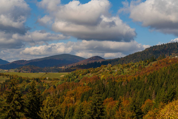 Hermoso bosque de otoño en las montañas de los Cárpatos en un día soleado de otoño en la cresta Synevyr Pass y el fondo azul del cielo. Ucrania Occidental - Foto, imagen