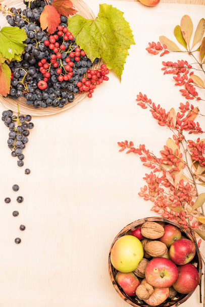 Composición otoñal de frutas, bayas y frutos secos sobre un fondo claro. Foto de alta calidad - Foto, imagen