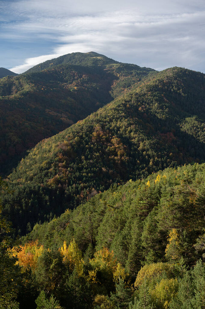 Осенняя долина с оранжевыми, желтыми и зелеными деревьями. - Фото, изображение