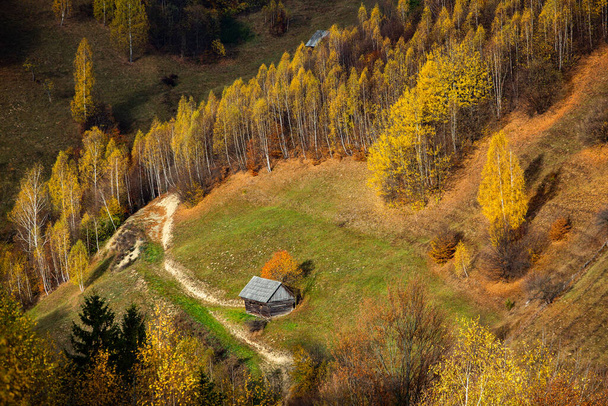 Un encantador paisaje de montaña en Cárpatos, Rumania. Naturaleza otoñal en Brasov, Europa - Foto, Imagen