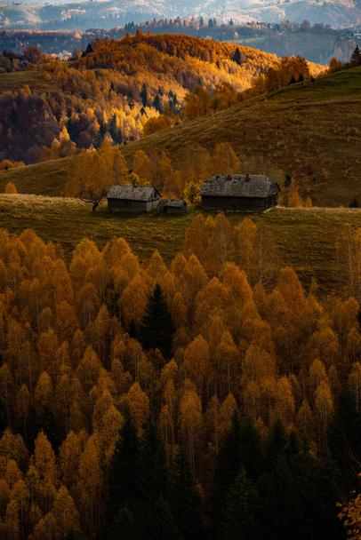Een charmant berglandschap in Karpaten, Roemenië. Herfst natuur in Brasov, Europa - Foto, afbeelding
