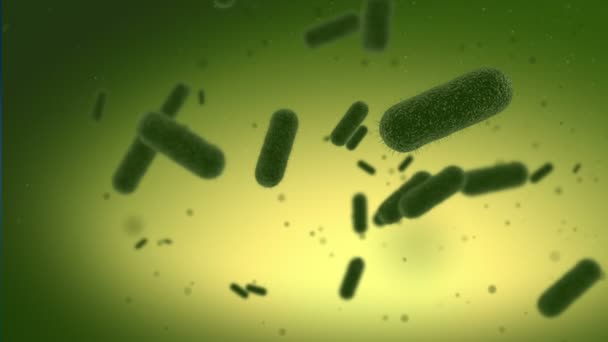 Verschillende bacteriën aanvallen - Video