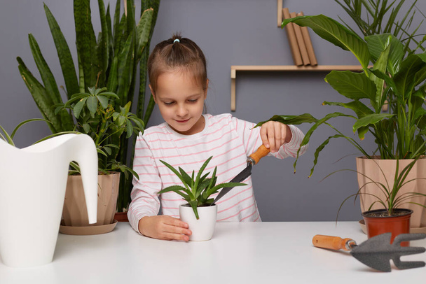 Portrait of cute charming concentrated little girl wearing casual style attire posing in greenhouse, replanting flower, holding garden shovel, helping with plants in store. - Foto, Imagen