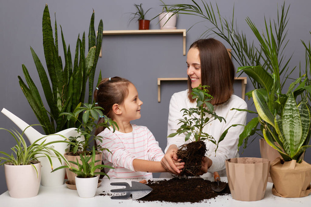 Horizontal shot of dark haired mother and daughter take care of green plants, replant flowers, woman looking at her cute helping hand with smile, working in greenhouse together. - Fotoğraf, Görsel