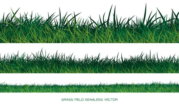 Conjunto de borda grama verde sem costura no vetor de fundo branco - Vetor, Imagem