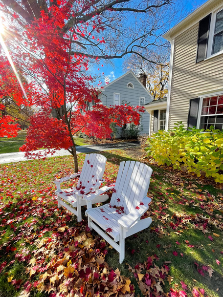 A nap élénk vörös juharfa ágak között bökdös és lehullott levelek dupla fehér Adirondack székeken a verandán Rochesterben, New Yorkban, USA-ban. Kényelmes, vendégszerető első udvari ülőhely - Fotó, kép