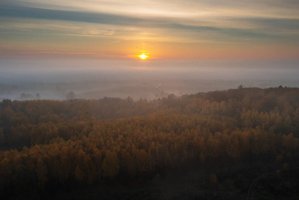 Beautiful landscape with morning fog over the forest in Poland - Photo, image