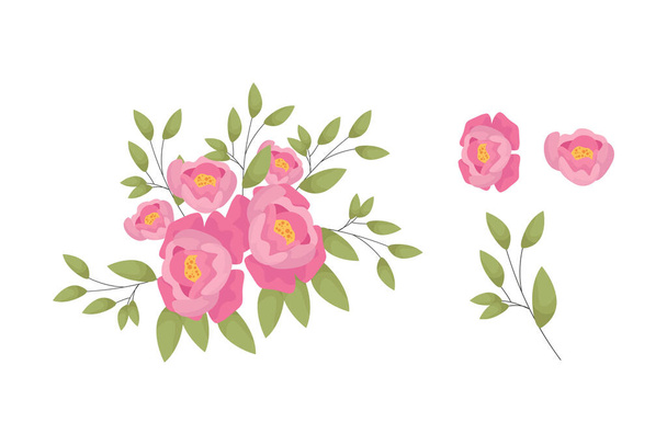 Μια ποικιλία από πολύχρωμες συνθέσεις από όμορφα φύλλα και λουλούδια - Διάνυσμα, εικόνα