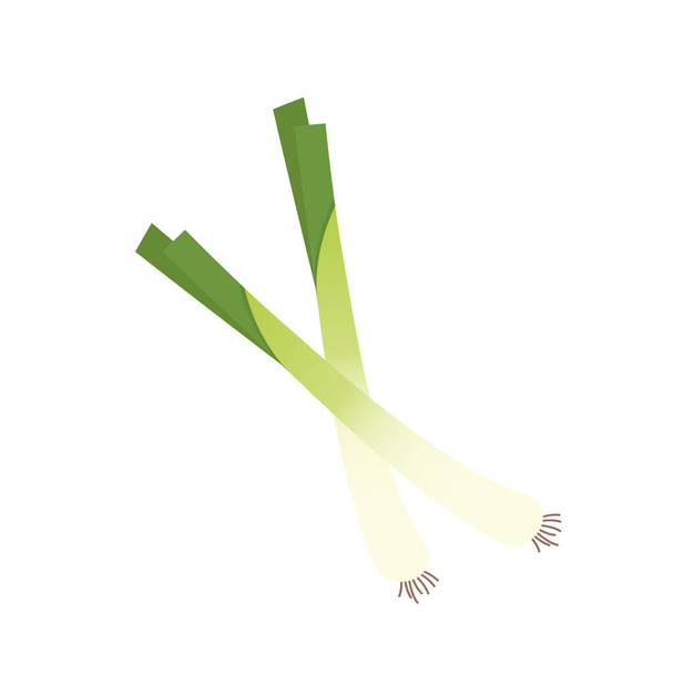 Spring onions vector. Spring onions on white background. - Vector, Image