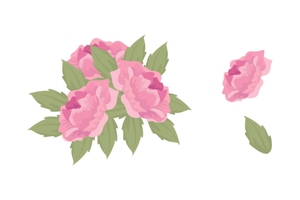 Různé barevné uspořádání krásných listů a květin - Vektor, obrázek