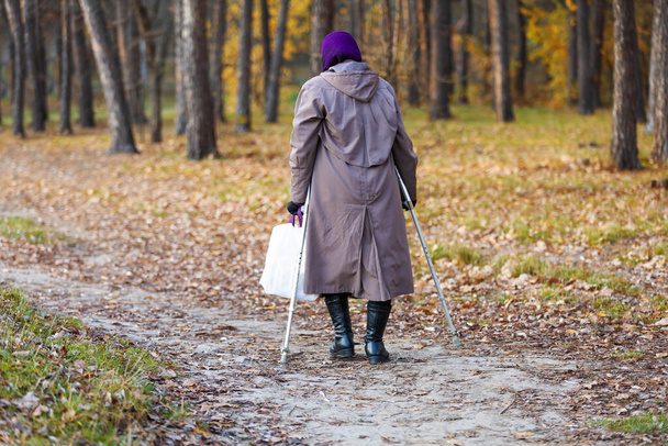 棒を持った年配の女性が公園を歩いている。バック屋外で高齢女性を表示します。祖母は森の中を歩いている。ロシアの年金受給者の生活。秋の古い時代. - 写真・画像