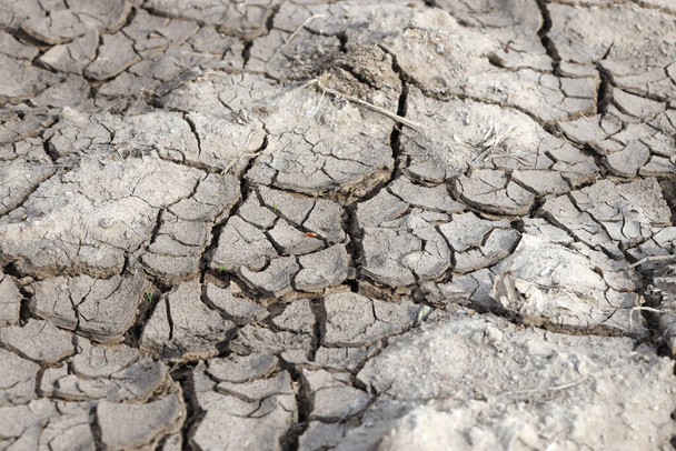 The ground has cracks in the top view for background or graphic design with the concept of drought and death - Foto, Bild