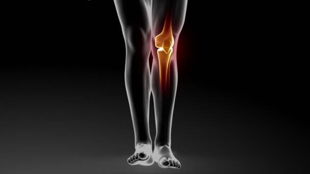 Cream from skin healing knee joints - Footage, Video
