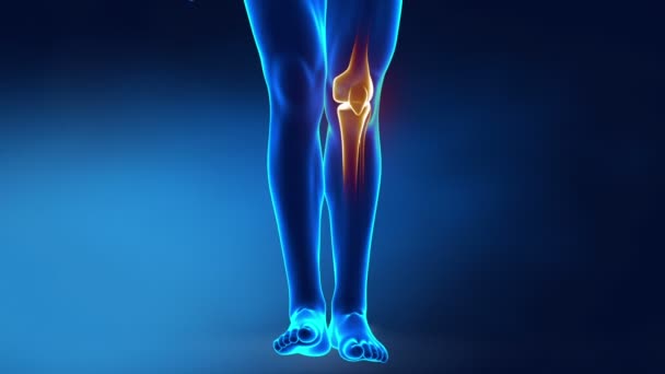 πόνος στο γόνατο - Πλάνα, βίντεο