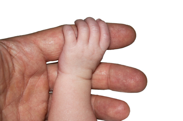 baby bedrijf vinger - Foto, afbeelding