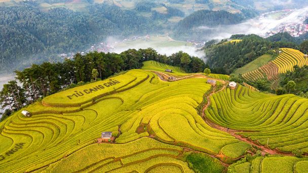 Rice fields on terraced of Mu Cang Chai, YenBai, Vietnam. Rice fields prepare the harvest at Northwest Vietnam. - Photo, Image