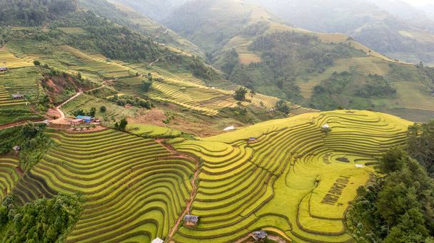 Reisfelder auf Terrassen von Mu Cang Chai, Yenbai, Vietnam. Reisfelder bereiten die Ernte im Nordwesten Vietnams vor. - Foto, Bild