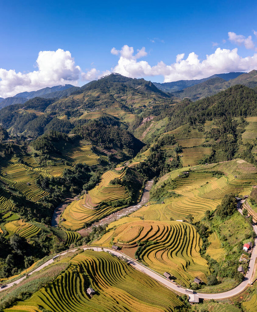 Rice fields on terraced of Mu Cang Chai, YenBai, Vietnam. Rice fields prepare the harvest at Northwest Vietnam. - Foto, immagini