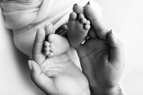Childrens legs in the hands of mother, father, parents. Feet of a tiny newborn close up. Mom and her child. Happy family concept. Beautiful concept image of motherhood stock photo. - Foto, afbeelding