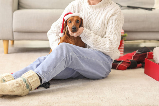 Cão bonito dachshund com chapéu de Papai Noel e proprietário em casa na véspera de Natal - Foto, Imagem