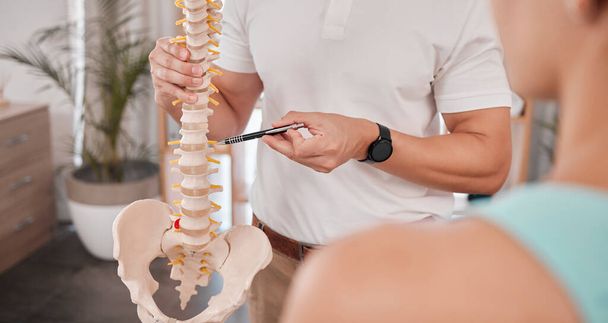 Spine model, healthcare and chiropractor with woman for consultation or treatment advice. Physiotherapy, wellness and doctor with patient and skeleton explaining cause of back pain, injury or problem. - Photo, Image