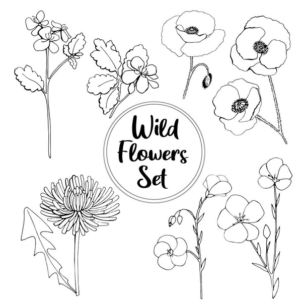 Hand drawn beautiful Wild Flower Set - flax, dandelion, thistle, calendula. Leaner - Διάνυσμα, εικόνα