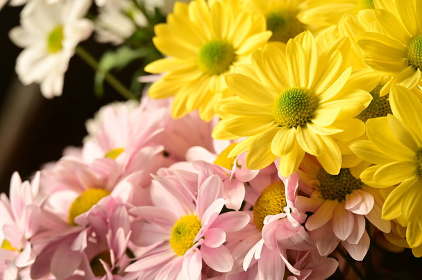 mooie herfst bloemen, close-up - Foto, afbeelding